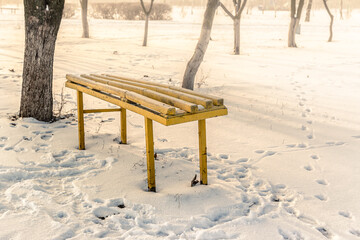 Park benches in the early winter morning.