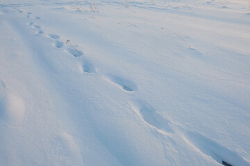Footprints In Snow. Human Footprints In The Snow.