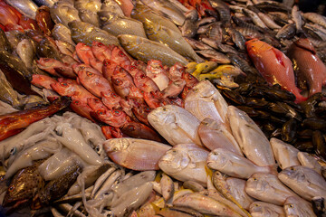 many different fish are on the counter in the store