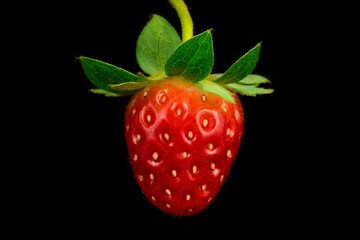 strawberry on black background