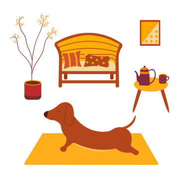 Dachshund practices yoga back bending on yoga mat. Yoga dog, relaxation and sports. Table with kettle and cup of tea. Painting on the wall, potted plant, sofa and pillows.Room interior. Vector cartoon