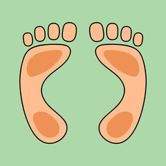 Human foot with toes illustration