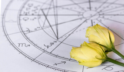 Detail of printed astrology chart with two yellow little roses; astrology st Valentine  and Women's day background