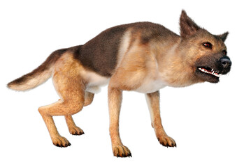 3D Rendering German Shepherd on White