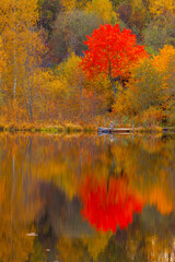 The autumn forest is reflected in the lake