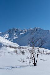 北海道　十勝岳連峰の冬の風景