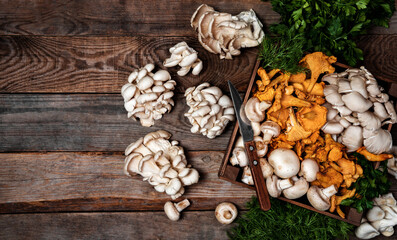 Wooden tray with raw oyster and chanterelle mushrooms on wooden table. Copy space for your text. Banner.