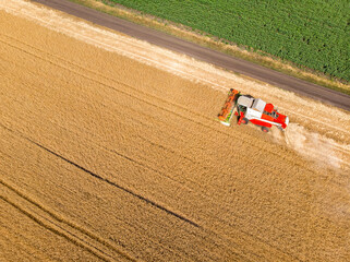 Aerial drone top view Big powerful industrial combine harvester machine reaping golden ripe wheat cereal field on bright summer or autumn day. Agricultural yellow field machinery landscape background
