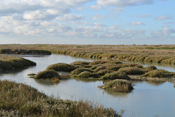 Paysages de la Baie de Somme, Hourdel, Cayeux-sur-Mer, Hauts-de-France