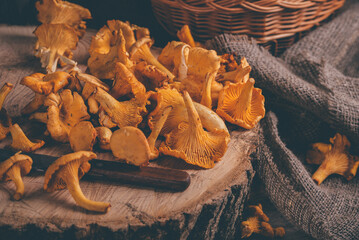Wicker tray with chanterelle mushrooms on wooden table. Knife, basket with mushrooms
