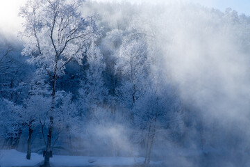 Obraz na płótnie Canvas 北海道冬の風景　富良野の樹氷