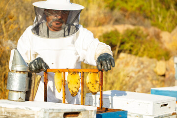 Bee keeper removing rack outside of hive. organic honey and beekeeping concept	