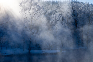 北海道冬の風景　富良野の樹氷