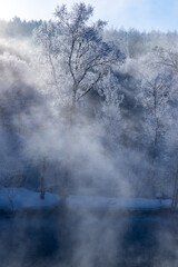 北海道冬の風景　富良野の樹氷
