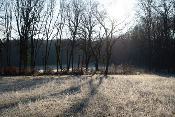 A nice picture of morning frost over a meadow