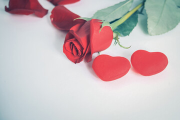 rose and two red hearts on white background.concept of love