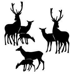 wild deer family and baby fawn black and white vector silhouette set