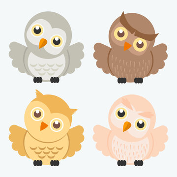 Cute owl Cartoon Vector Characters set