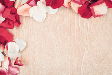 frame of rose petals on white background.