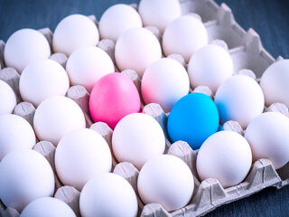 Pink and blue painted eggs in a cardboard box with white unpainted eggs - modern easter concept