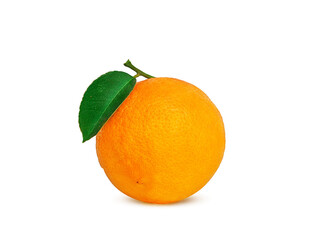 ripe orange on a branch on a white background