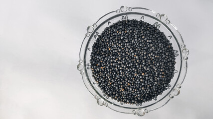 mustard seeds in glass bowl on a white isolated surface