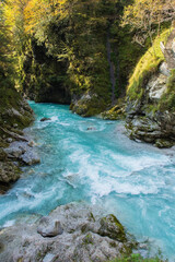 The confluence of the rivers Tolminka and Zadlascica in Tolmin Gorge in the Triglav National Park,...