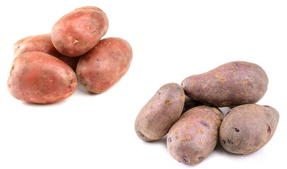 Raw pink potato tubers on a white isolated background.Potatoes in the skin.