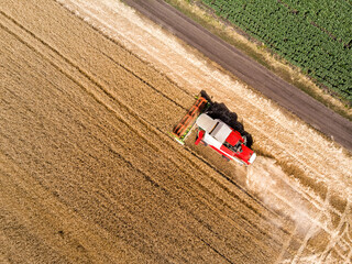 Aerial drone top view Big powerful industrial combine harvester machine reaping golden ripe wheat cereal field on bright summer or autumn day. Agricultural yellow field machinery landscape background
