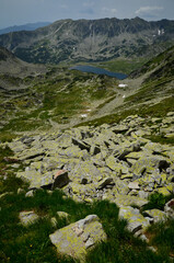 river in the mountains