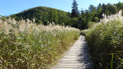 Biotop am Kalterer See