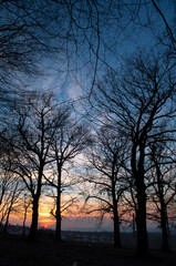 Obraz na płótnie Canvas sunset in the park