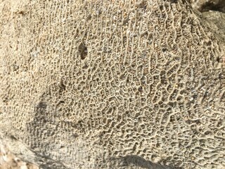texture of stone