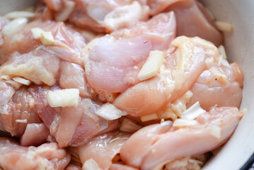 Fresh chicken fillet with onions