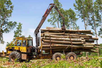 Lumber Industry  - Forestry Logging Vehicle on Duty