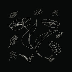 Vector illustration of  lineart  drawing abstract flower poppy,  chamomile, oak leaves, poplar and herb twigs. Hand drawn modern minimalistic design for creative logo, icon or emblem on black backgrou