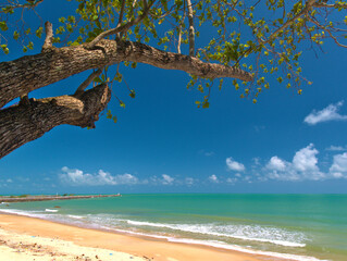 Tropical beach with blue sky and tree leaf out into the sea