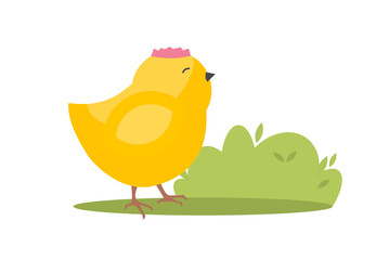 Little chick easter yellow animal.