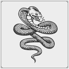 The emblem with king cobra for a sport team. Print design for t-shirt.