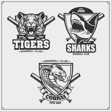 Set of baseball emblems, badges, logos and labels with tiger, shark and snake. Print design for t-shirt.