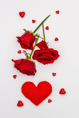 Red hearts and fresh fragrant rose isolated on white background