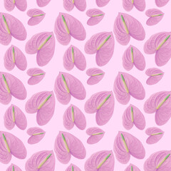Festive background of pink flowers on a pink background