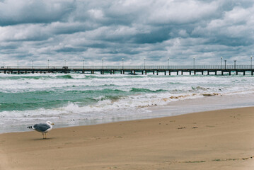 Stormy Black sea in day time, big waves and gusty wind