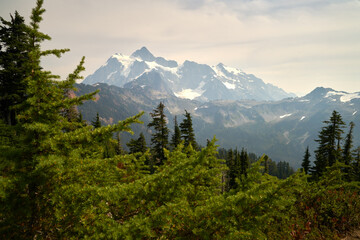 Mt. Shuksan Peaks Washington State. Mt. Shuksan in the Washington State Cascade Mountain range. USA.

