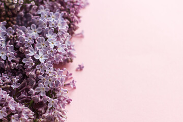 Lilac flowers border on pink paper. Floral greeting card, space for text. Purple lilac view above