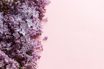 Lilac flowers border on pink paper. Floral greeting card, space for text. Purple lilac view above © sonyachny