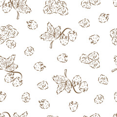 Raspberry. Berries seamless pattern.
