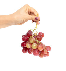 Red grapes in hand isolated on white