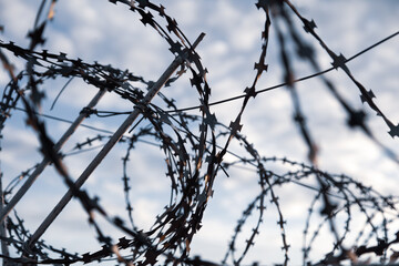 Barbed wire on the fence in the early morning. Background