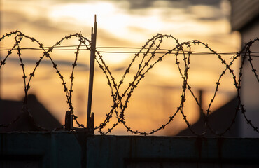 Barbed wire on the fence in the early morning. Background